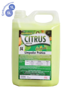 Limpador Multiuso Ecoline Prático Citrus